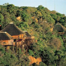 Ravineside Lodge, Mookgopong — photo 4