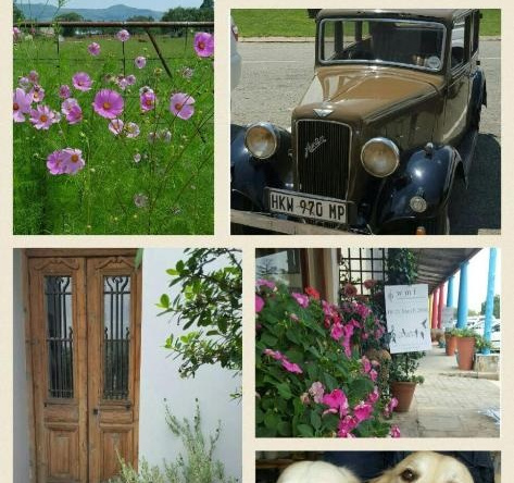 Semi Soet Self Catering House, Уоккерструм — фото 1