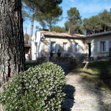 DOMAINE d'OUMAÏ, 佩尔讷莱方丹 — 照片 3