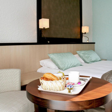 Mercure Vichy Hotel, Виши — фото 4