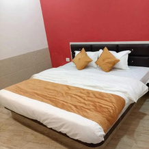 Holidays Luxury Hotel & Resort, Datia — photo 4