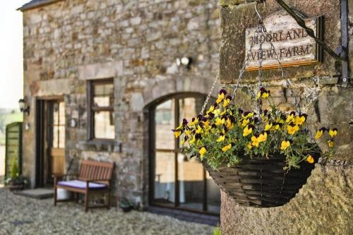 Moorland View Farm B&B, 温克希尔 — 照片 1