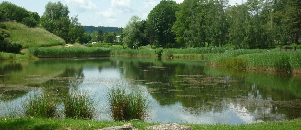 L'orée Du Parc À Belfort, Бельфор — фото 1
