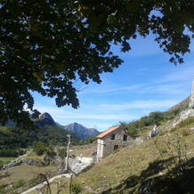 Apartamentos Rurales La Pinietsa, Pola de Somiedo (La Pola) — photo 5