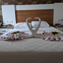 St. Nicholas Park Hotel, 厄吕代尼兹 — 照片 2
