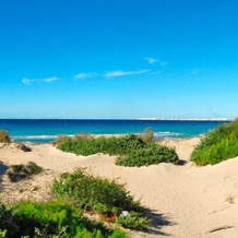 Vivosa Apulia Resort - All Inclusive, 乌真托 — 照片 3