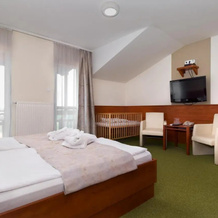 Gréti Wellness és Gyógypanzió, Leanyfalu — photo 2