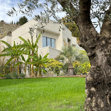 Little Palm Hotel, 奥尔金卡 — 照片 3