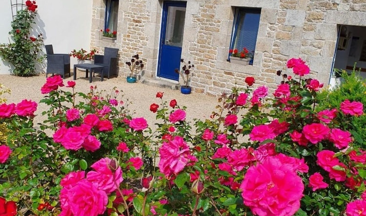 Au Jardin de Créach Avel, 勒布瓦讷夫 — 照片 1