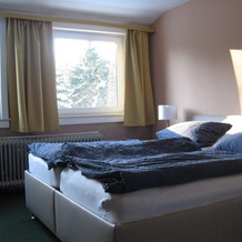 Hotel Zum Forsthaus, 阿尔特瑙 — 照片 5