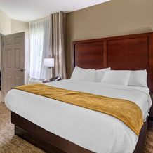 Comfort Suites Clarksville, Clarksville — photo 5