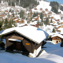 Le Petit Capricornus - 2 Bedroom Villa, Morgins — photo 2