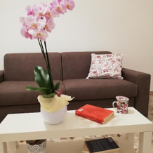 Santa Maria in Platea - Apartment, Montescaglioso — photo 4