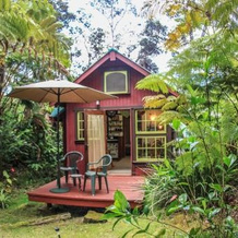 Ferny Hollow: Romantic Rainforest Cottage, 武尔卡诺 — 照片 4