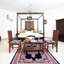 Narayan Niwas Resort, Udaipur — photo 2