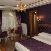 Albatros Premier Hotel, Стамбул — фото 2