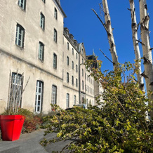 Logis Hotel Ancien Grand Seminaire, 圣弗卢尔 — 照片 3