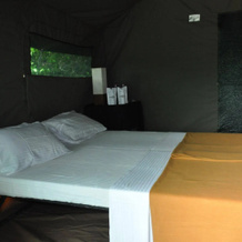 Explorer by Eco Team - Wasgamuwa National Park, 汉杜加穆瓦 — 照片 2