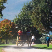 No 20 Killarney Holiday Village, 基拉尼 — 照片 4