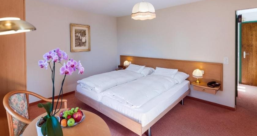 Hotel & Spa Cacciatori, Cademario — photo 1