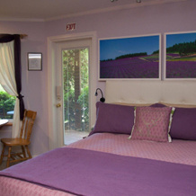 Enchanter Oceanview Suites, 马德拉公园 — 照片 3
