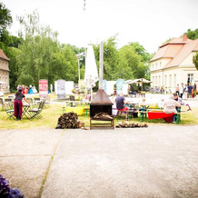 Schloss Plaue, Бранденбург — фото 5