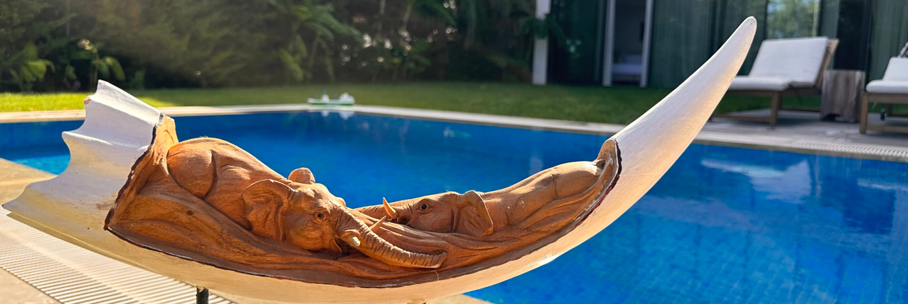 Dupleks Villa 4+1 s Chastnym Basseynom na Territorii Otelya 5* Bodrum Villa, Milas — photo 1