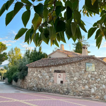 Saltus Alvus, casas con encanto en Sotosalbos, 索托萨尔沃斯 — 照片 4