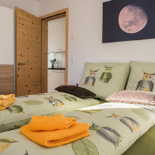 Ferienwohnung Fionas 267, Ftan — photo 3