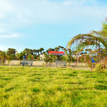 SSK Green Resort Hotel, 曼达帕姆 — 照片 5