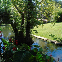 House with 3 Bedrooms in Fermil, Santa Tecla de Basto, with Pool Access, Enclosed Garden And Wifi, 塞洛里库迪巴什图 — 照片 5