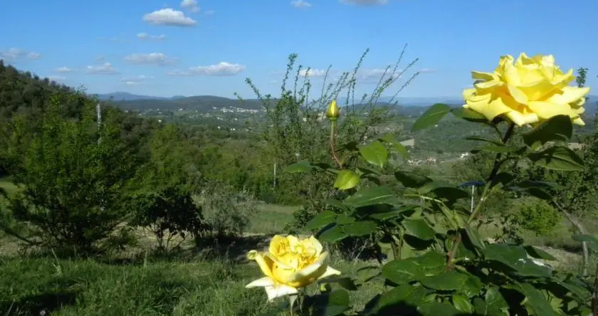 Bed and Breakfast di Montenero, Amelia — photo 1