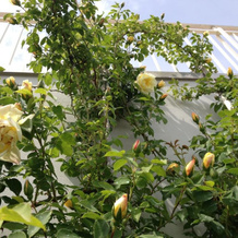 Gioia In Collina, Torrevecchia Teatina — photo 4
