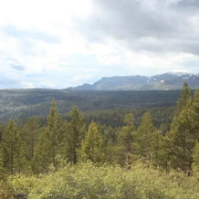 Ble Fjellstue Mountain Lodge, 康斯堡 — 照片 5