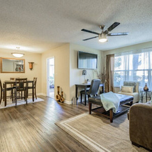 Clearwater Luxury Rental, Clearwater — photo 5
