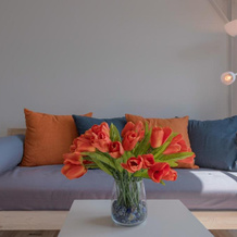Appartementen Casa del Lago, 利瑟 — 照片 5
