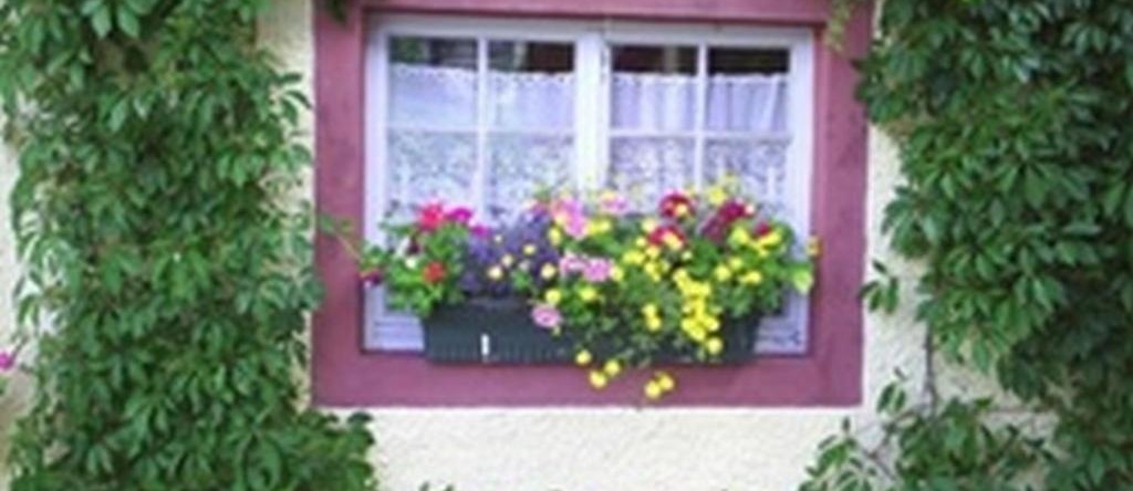 Pension Sonne, Хоттинген — фото 1
