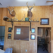Dog-Friendly The Lodge Home in Quiet Location by RedAwning, 凯布尔 — 照片 5