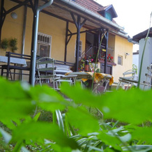 Villa Ricz, 帕利奇 — 照片 2
