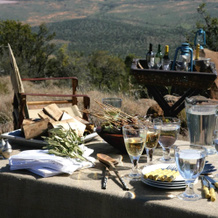 Samara Private Game Reserve, 彼得堡 — 照片 5