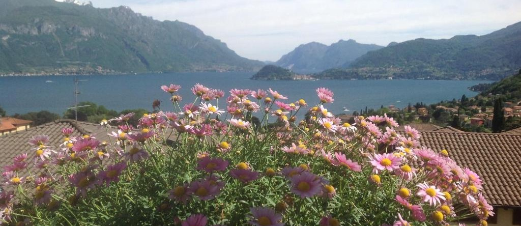 B&B By Lussy - Camera Verde, Menaggio — photo 1