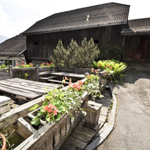 Gasthof Tell, 德劳河畔法伊斯特里茨 — 照片 4