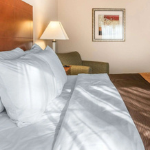Quality Inn, New Buffalo — photo 4