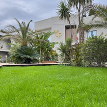 Little Palm Hotel, 奥尔金卡 — 照片 4