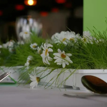 Hotel Mönchs Lamm, 舍姆贝格 — 照片 5