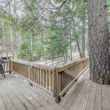 Cloudcroft Cabin Vacation Rental: 3 Mi to Skiing!, 克劳德克罗夫特 — 照片 4