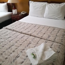 Hotel Dinastia Colima, Колима — фото 3