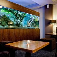 Golden Fish Hotel Apartments, Plzen — photo 5