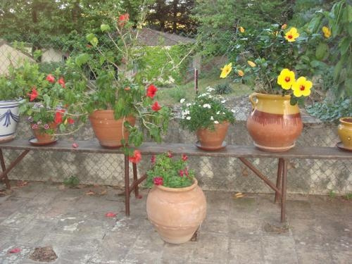 Domaine de Saint Clément, Prades-le-Lez — photo 1