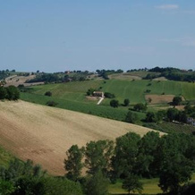 Profumo Delle Marche, Монтефано — фото 5